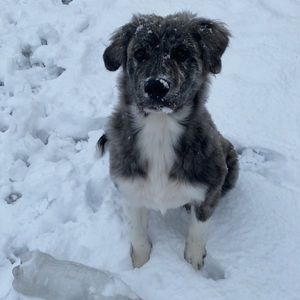 Meet your Posher, Diego